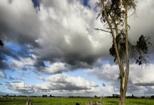 韦德体育官网:国足阵容有望13日齐整 15日热身科威特 归化球员等待.